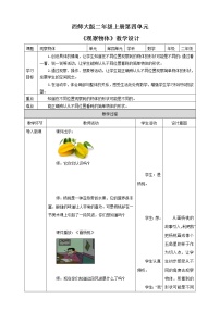 西师大版二年级上册四 观察物体一等奖教学设计