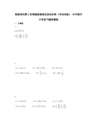 暑假预科第2章有理数乘除法混合运算（专项训练）-小学数学六年级下册苏教版