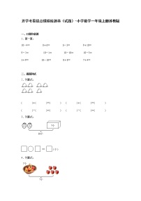 暑假 易错点模拟检测卷（试题）-小学数学一年级上册苏教版