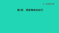 小学数学人教版五年级下册1 观察物体（三）教学课件ppt