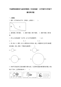 平面图形的周长与面积冲刺卷（专项突破）-小学数学六年级下册北师大版