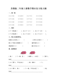 2022年秋苏教版二年级数学上册期末复习练习题（含答案）