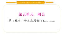 小学数学北师大版三年级上册1 什么是周长习题ppt课件