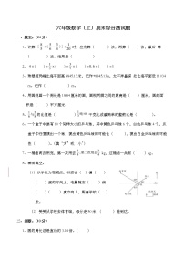 西师大版 六年级上册数学期末综合测试题