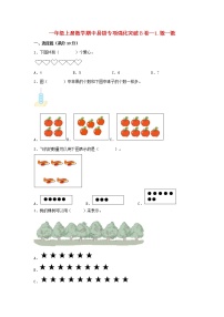 【期中专项】苏教版数学一年级上册期中 易错专项强化突破B卷—1.数一数 （含解析）