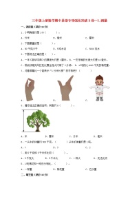 【期中专项复习】人教版数学三年级上册期中 易错点强化突破 B卷：3.测量（含解析）