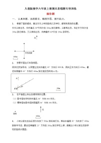 人教版数学六年级上册期末易错题专项练习-操作题（含答案）