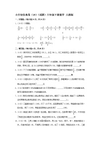 小升初仿真卷（19）（试题）六年级下册数学 人教版