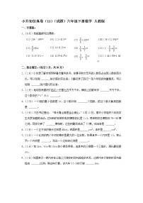 小升初仿真卷（11）（试题）六年级下册数学 人教版