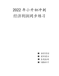 2022年数学人教版小升初冲刺《经济利润问题》（无答案）