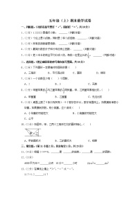 期末模拟测试（试题）-五年级上册数学人教版 (5)