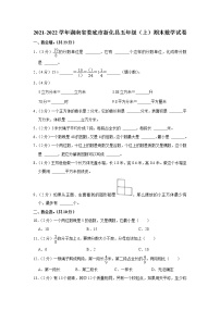 2021-2022学年湖南省娄底市新化县五年级（上）期末数学试卷