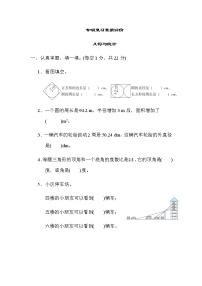 北师大版六年级数学上册几何与统计专项复习素质评价