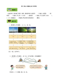 小学数学北师大版四年级上册1 线的认识学案及答案