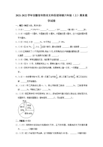 2021-2022学年安徽省阜阳市太和县倪邱镇六年级（上）期末数学试卷