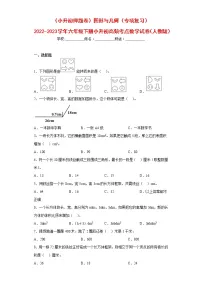 (小升初押题卷)图形与几何(专项复习)-最新六年级下册小升初高频考点数学试卷(人教版)