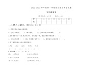 陕西省铜川市印台区金华山煤矿小学2022-2023学年五年级上学期综合能力评估试题期中数学试题