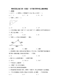 期末易错点练习卷（试题）-小学数学四年级上册苏教版