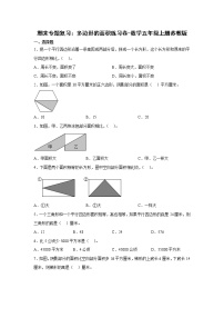 期末专题复习：多边形的面积练习卷（单元测试）-小学数学五年级上册苏教版