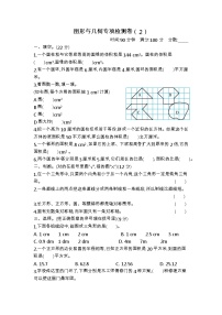 青岛版数学（六三制）六年级下册图形与几何专项检测卷（2）附答案
