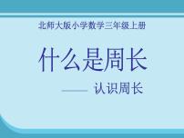 北师大版三年级上册1 什么是周长多媒体教学ppt课件