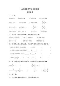 小学小升初六年级数学毕业分类复习数的计算无答案