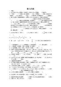 小学通用版数学六年级下册总复习专题数与代数含答案13