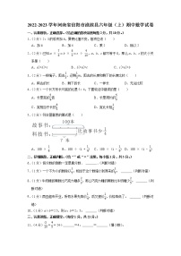 河南省信阳市淮滨县2022-2023学年六年级上学期期中数学试卷（含答案）