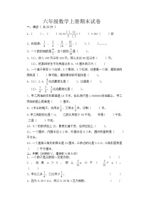 六年级数学上册试题 -期末试卷-西师大版（含答案）
