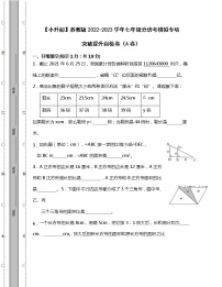 【小升初】苏教版2022-2023学年七年级分班考模拟专项突破提升自检卷AB卷（含解析）