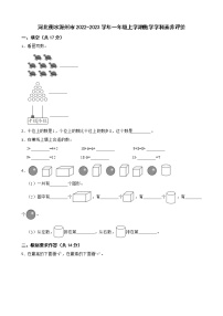 河北衡水深州市2022-2023学年一年级上学期数学学科素养评价