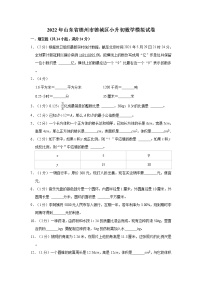 2022年山东省德州市德城区小升初数学模拟试卷