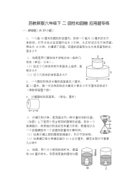 小学数学苏教版六年级下册二 圆柱和圆锥课时作业