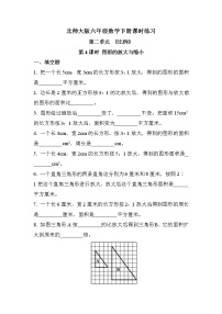 数学六年级下册图形的放大与缩小优秀第4课时复习练习题