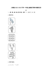 人教版2022-2023学年一年级上册数学期中调研试卷（附解析）