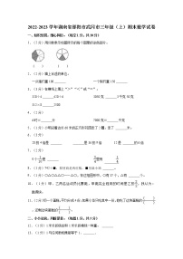 2022-2023学年湖南省邵阳市武冈市三年级（上）期末数学试卷