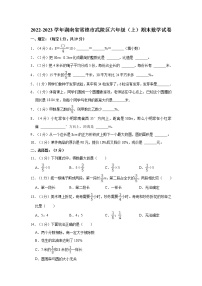 2022-2023学年湖南省常德市武陵区六年级（上）期末数学试卷