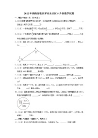 湖南省张家界市永定区2021-2022学年小升初数学试卷