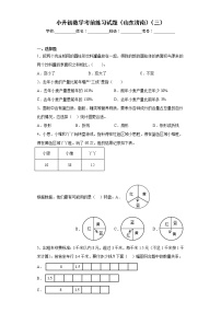 小升初数学考前练习试题（山东济南）（三）