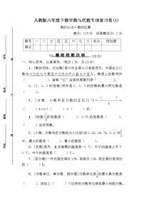 人教版六年级下数学数与代数专项复习卷(1)含参考答案