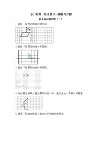 补全轴对称图形（二）（作图专项）-小升初六年级数学下册第一轮总复习《测量与作图专题模块》人教版