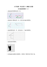 补全轴对称图形（三）（作图专项）-小升初六年级数学下册第一轮总复习《测量与作图专题模块》人教版