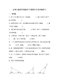 北师大版四年级数学下册期中专项练习题-填空题（含答案）