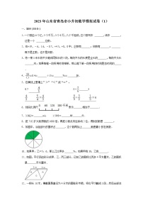 2023年山东省青岛市小升初数学模拟试卷（1）