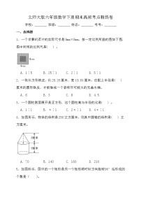 北师大版六年级数学下册期末高频考点精练卷（一）（含答案）