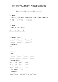 人教版比大小巩固练习