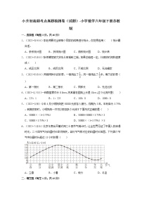 小升初高频考点真题检测卷（试题）-小学数学六年级下册苏教版