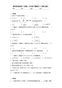 期中质量检测（试题）-六年级下册数学北师大版