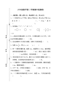 期中检测卷（试题）六年级下册数学人教版