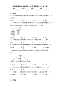 期中质量检测（试题）六年级下册数学北师大版